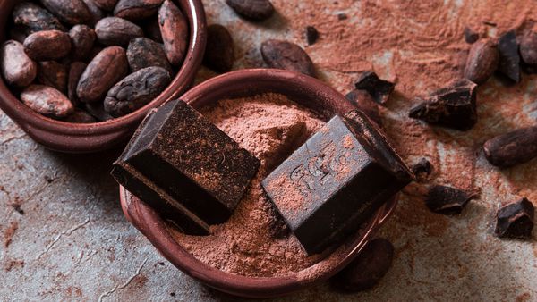 Alabama research may help secure the chocolate supply