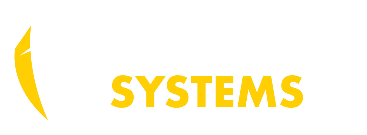 Guardian Systems