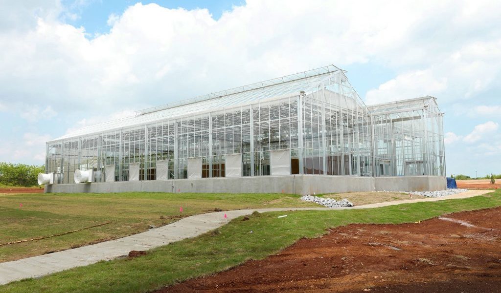HudsonAlpha Greenhouse: Growing opportunities for the HudsonAlpha Center for Plant Science & Sustainable Agriculture