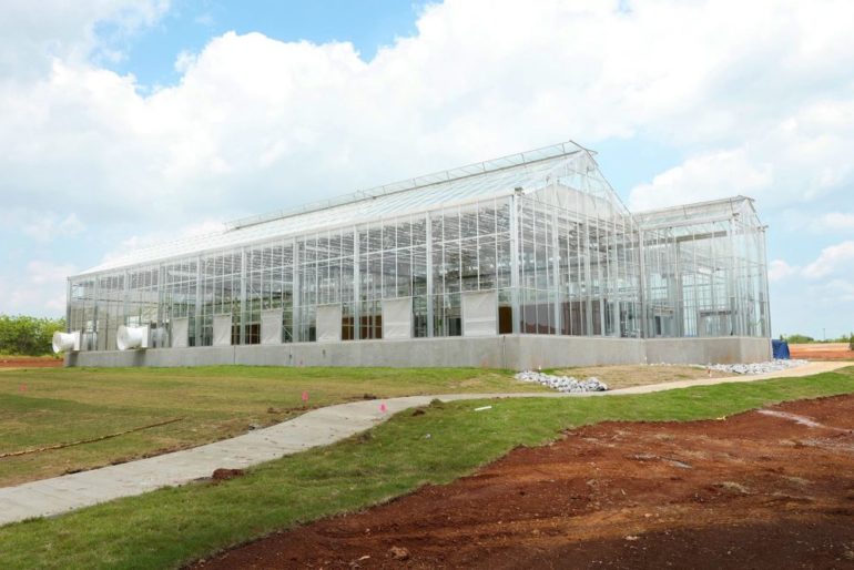 HudsonAlpha Greenhouse: Growing opportunities for the HudsonAlpha Center for Plant Science & Sustainable Agriculture